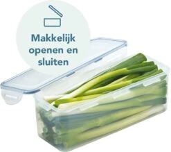 Lock&Lock Vershouddoos - Bewaardoos Met Deksel - Voor Ontbijtkoek Peperkoek En Cake - Cakedoos - 100% Luchtdicht - 3,4 Liter 11 Lock&Lock Vershouddoos - Bewaardoos Met Deksel - Voor Ontbijtkoek Peperkoek En Cake - Cakedoos - 100% Luchtdicht - 3,4 Liter -Mepal Shop 1200x1063 1