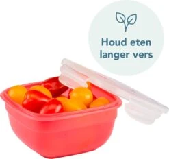 Lock&Lock Vershoudbakjes Set Met Deksel - Snackdoosjes - 9 Stuks - Lekvrij - Stapelbaar - Volwassenen En Kinderen - Multicolor Mix -Mepal Shop 1200x1125 1