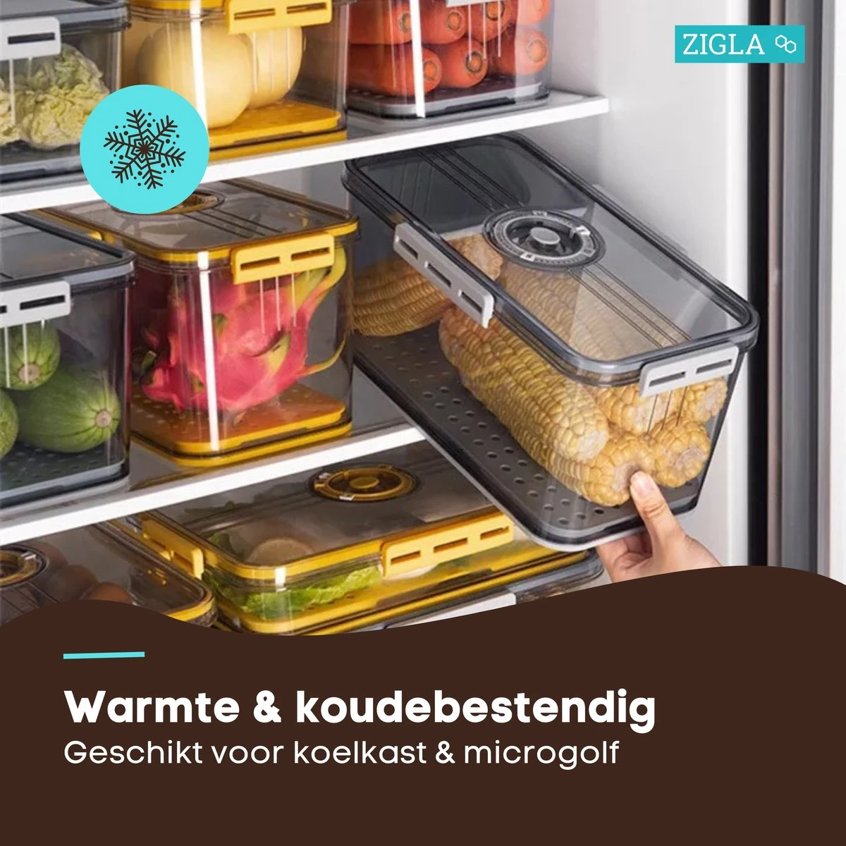 Zigla - Vershouddoos – Datumaanduiding – Voedselcontainer – Meal Prep – Fruitbakje – Vacuum Bewaardoos – Foodsaver 5 Zigla - Vershouddoos – Datumaanduiding – Voedselcontainer – Meal Prep – Fruitbakje – Vacuum Bewaardoos – Foodsaver - Afbeelding 5