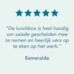 Lock&Lock Saladebox - Salade Lunchbox To Go - Salade To Go - 950 Ml - Lekvrij - Met Verdeelvakjes - Groen 10 Lock&Lock Saladebox - Salade Lunchbox To Go - Salade To Go - 950 Ml - Lekvrij - Met Verdeelvakjes - Groen -Mepal Shop 1200x1200 69