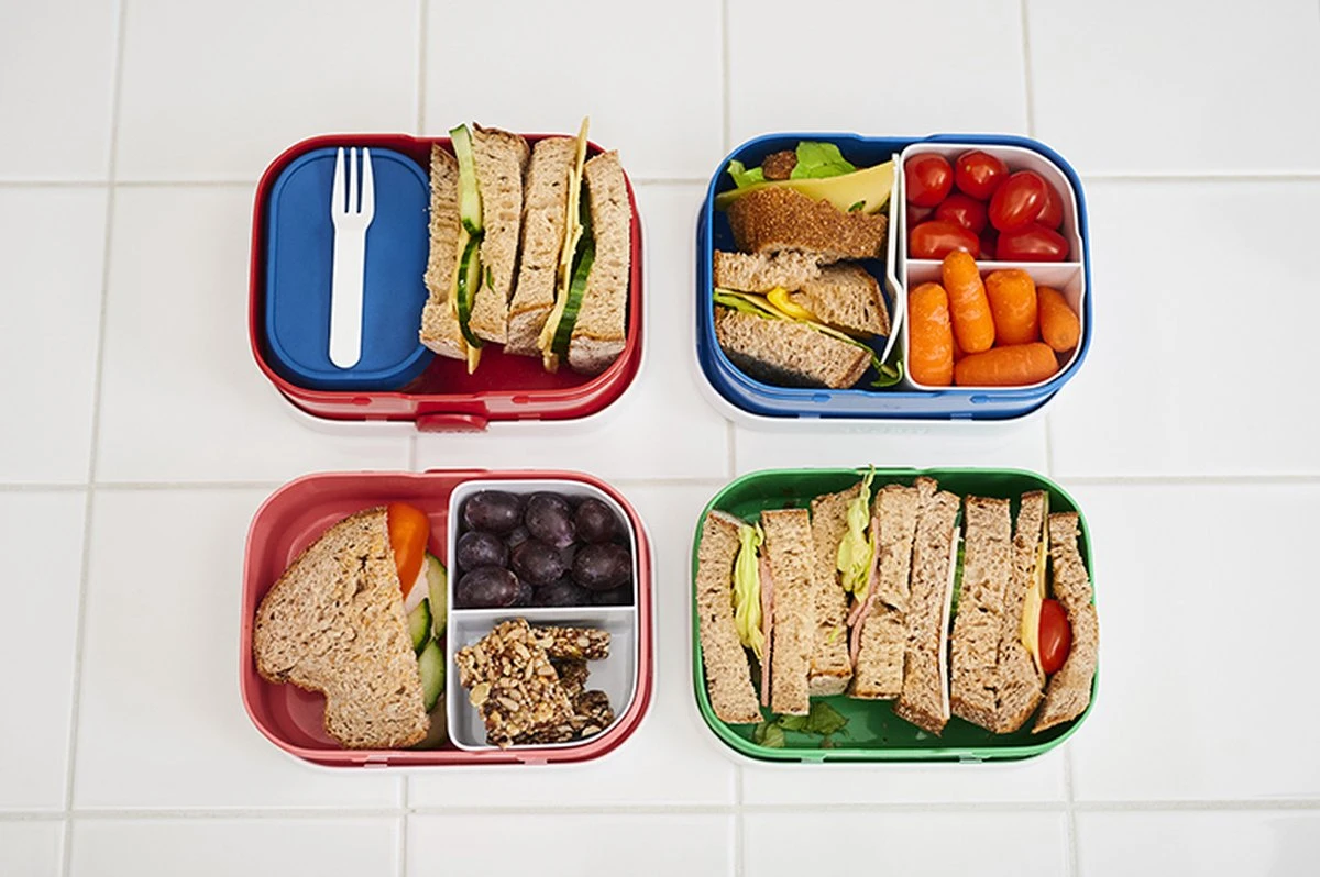 Mepal – Lunchset Campus (sb + Lb) – Schoolbeker En Broodtrommel Voor Kinderen – Jungle – Bento Box - Lekvrij 7 Mepal – Lunchset Campus (sb + Lb) – Schoolbeker En Broodtrommel Voor Kinderen – Jungle – Bento Box - Lekvrij - Afbeelding 7