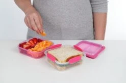 Sistema To Go Snackdoos Snack Attack Duo - Roze- 975 Ml -Mepal Shop 1200x799 4