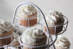 Patisse Cupcake Bewaardoos 39 X 13 Cm Transparant 7 Patisse Cupcake Bewaardoos 39 X 13 Cm Transparant -Mepal Shop 1200x800 87